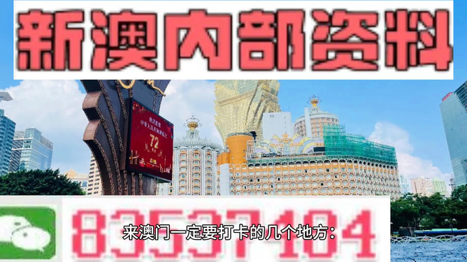 澳门精准王中王免费公开,深入分析定义策略_特别版73.430