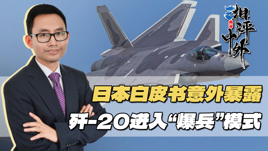 澳门资料大全免费2024小说,实地研究数据应用_Prestige64.979