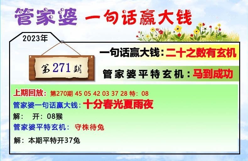 2024年11月13日 第44页