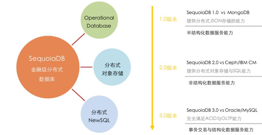 澳门2023正版资料大全完整版,数据导向方案设计_Executive13.206